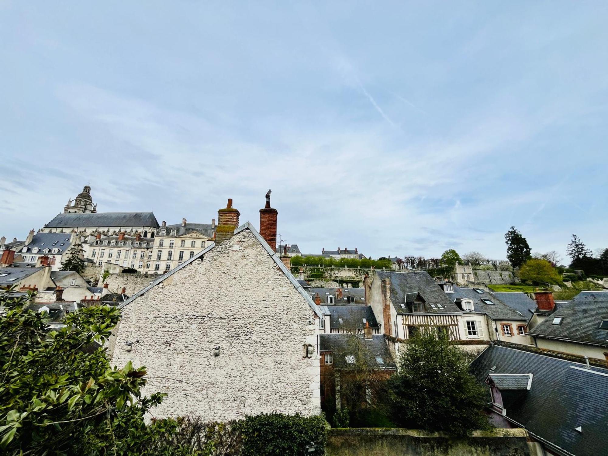 Vue Loire, Hypercentre, Spacieux, Familial, Climatise, Le Quai De Loire Daire Blois Dış mekan fotoğraf